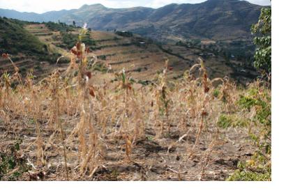 agricultural droughts eo fao asis helps spider